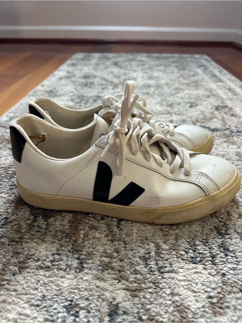 Classic minimal veja trainers